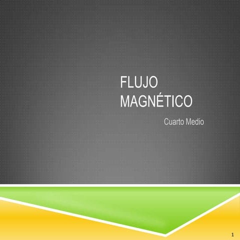Flujo magnético 1