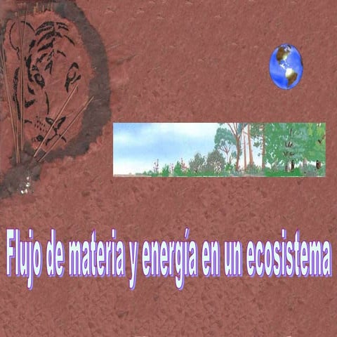 Flujo de materia y energía 4 ESO
