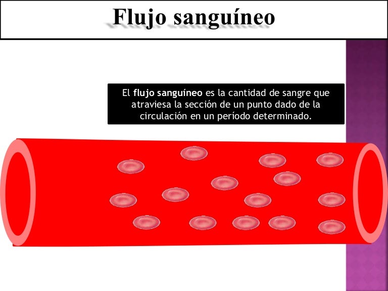 Flujo sanguineo