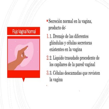Flujo vaginal | PPTX