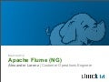Apache Flume (NG)