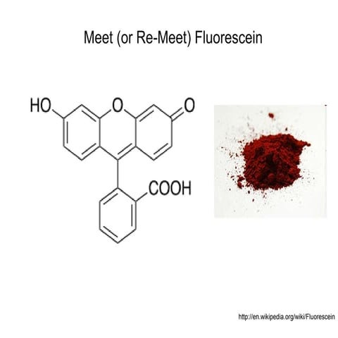 Fluorescein