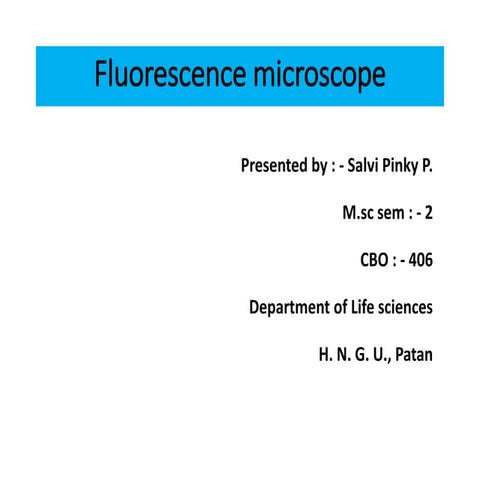 Fluorescence microscope