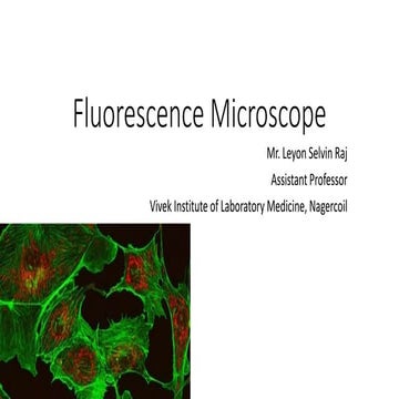 Fluorescence microscope