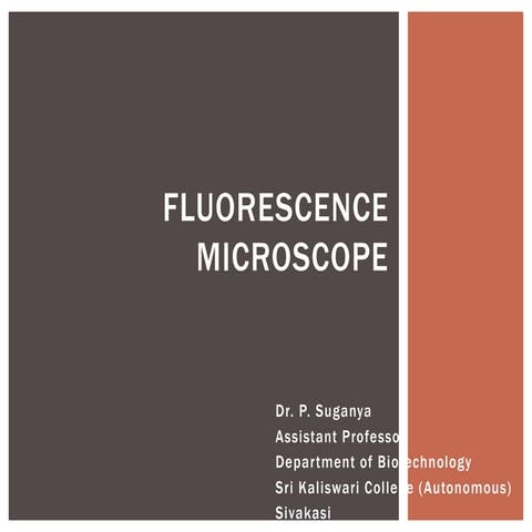 Fluorescence microscope