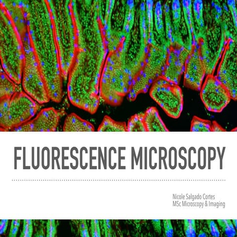 Fluorescence microscopy introduction