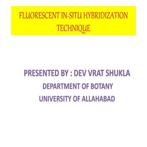 Fluorescent in situ hybridization technique | PPTX