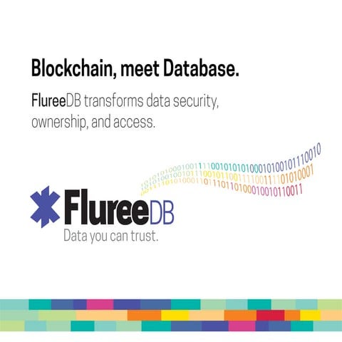 How Fluree Makes Blockchain Usable