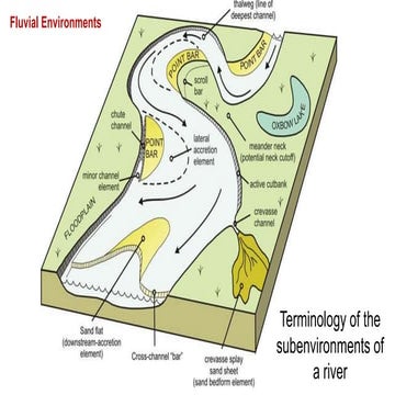sedimentary environment (fluvial channel) | PDF