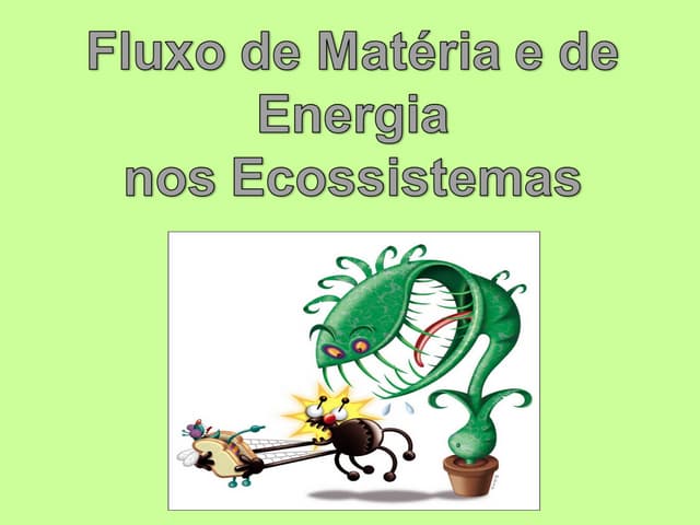 Fluxo de matéria e de energia nos e...