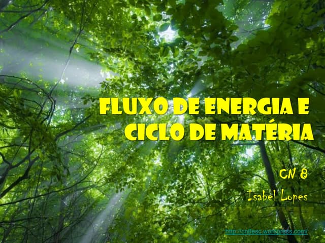 Fluxo energia e ciclo de matéria