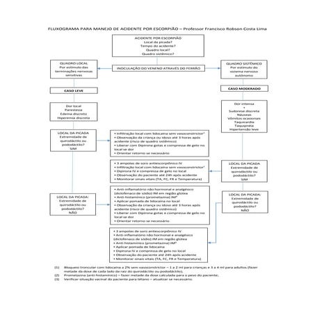 Fluxograma para manejo de acidente por escorpião