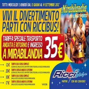 Flyer 21x10 ricci bus_vr2
