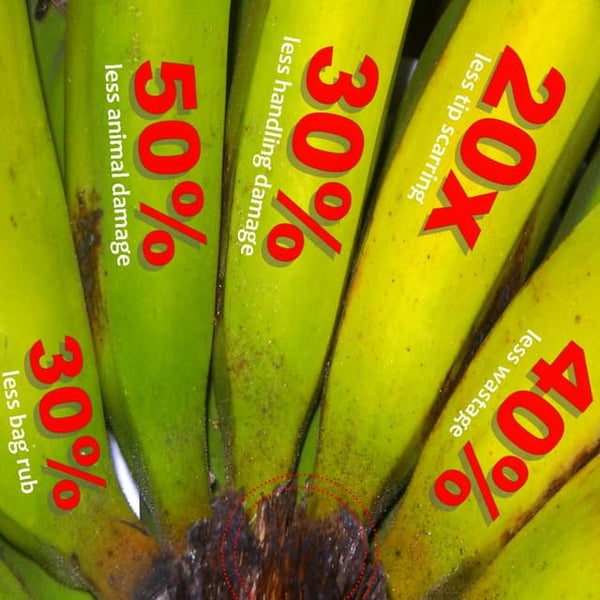 Banana Protection Bag Benefits