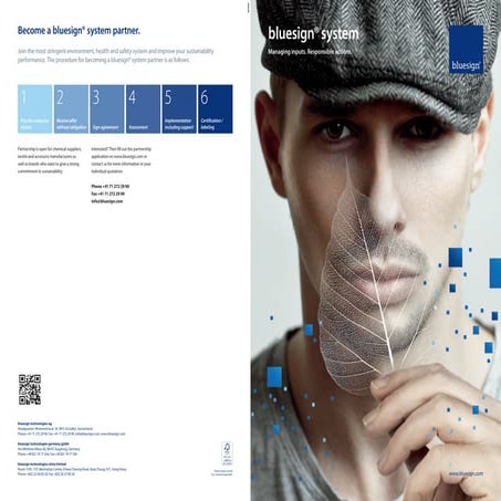 Flyer bluesign system-en