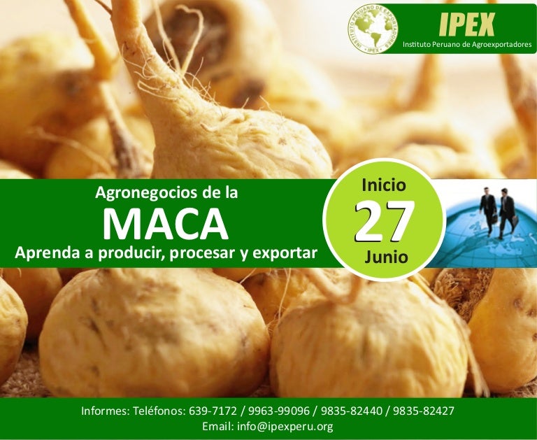 agronegocios de la maca aprenda a producir procesar y exportar maca flyer