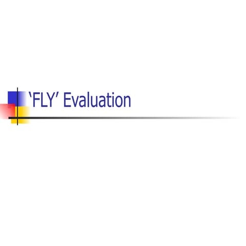 Fly’ evaluation