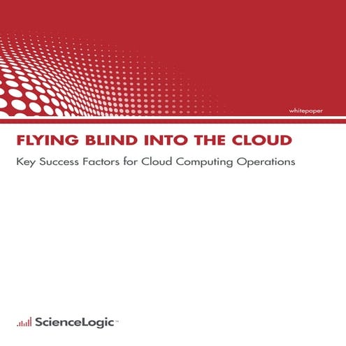 Flying blind white_paper-final