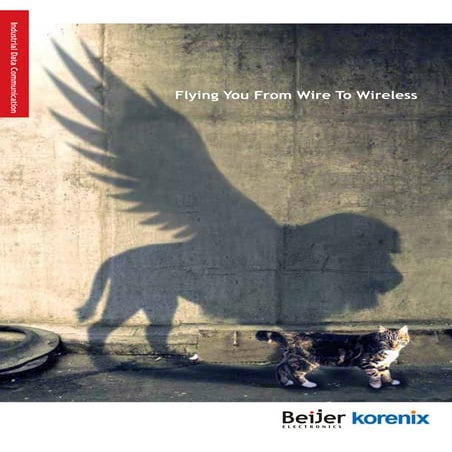 Flying You From Wired To Wireless - Product Brochure 2013