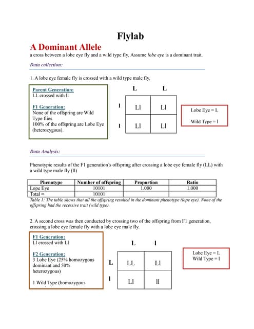 lab report drosophila melanogaster drosophila melanogaster lab report