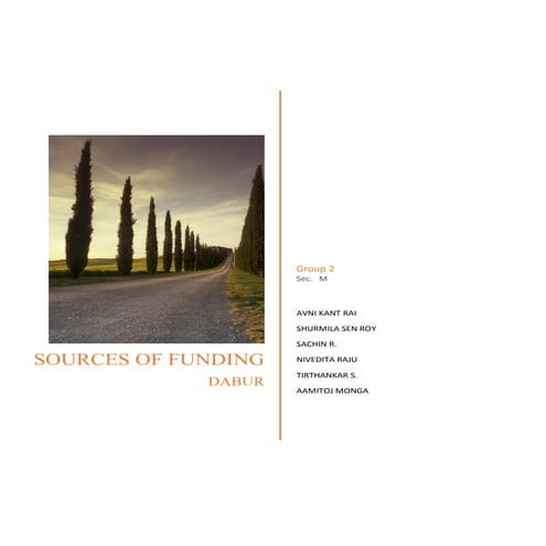 Sources of Funding of Dabur