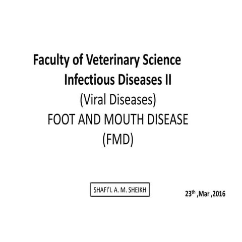 FOOT AND MOUTH DISEASE ( FMD)