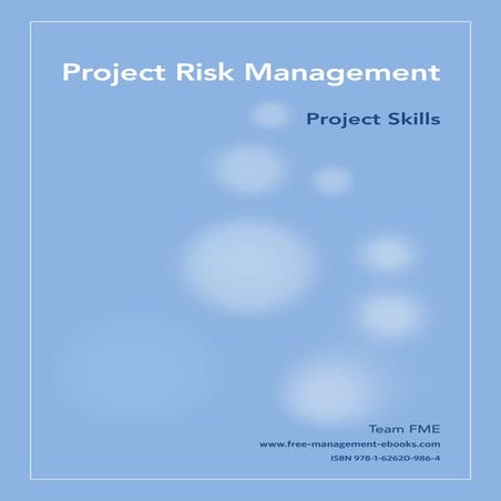 Fme project-risk