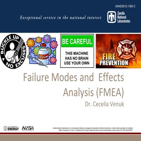 FMEA presentation.Steps according to standard. pdf