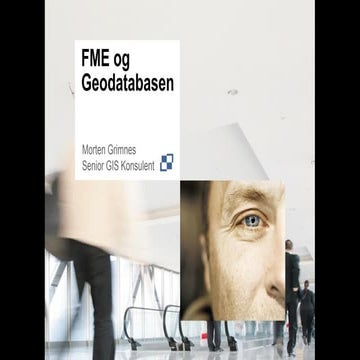 FME og Geodatabasen