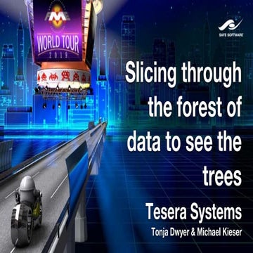 FME in Tesera’s HRIS: Slicing through the forest of data to see the trees