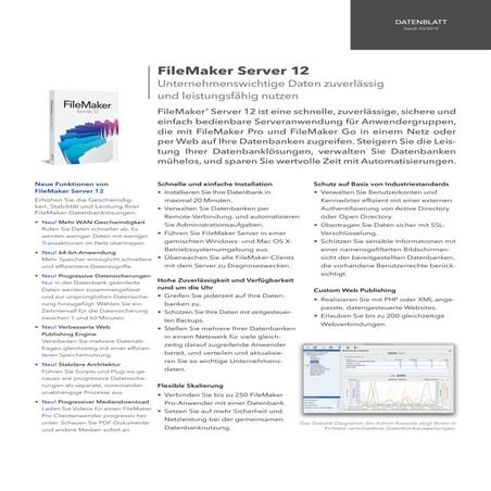 FileMaker Pro 12 Netzwerkinstallations-Handbuch | PDF