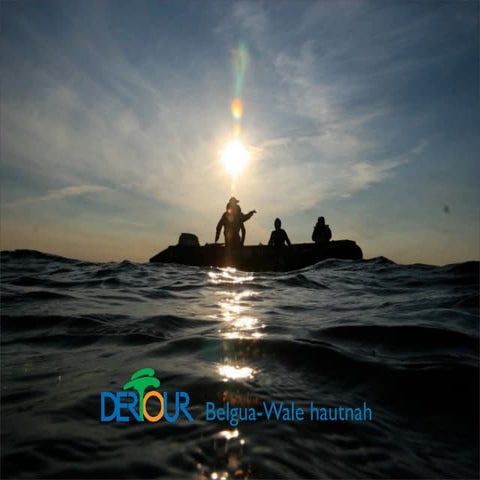 DerTour - Belgua-wale Hautnah