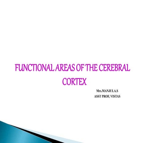 FUNCTIONAL AREAS OF THE CEREBRAL CORTEX.pptx