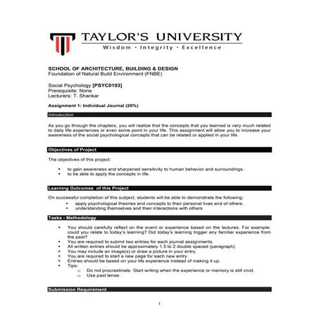 Fnbe journal assignment brief