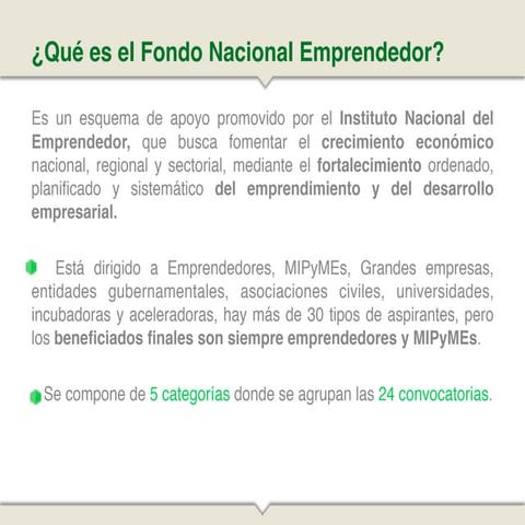 FONDO NACIONAL DEL EMPRENDEDOR 2014