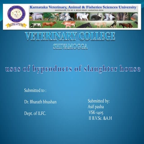 Slaughter house by products lfp