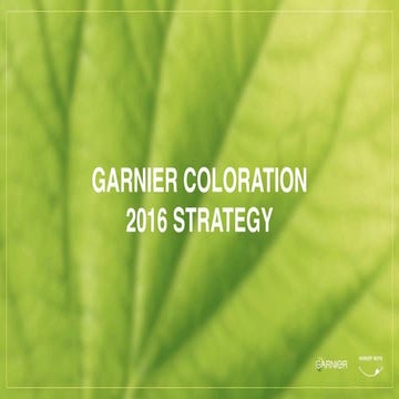 Strategy garnier coloration