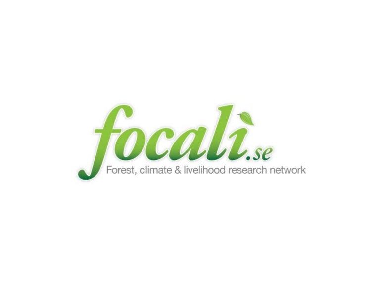 Insights From The Cooperation Between Focali And Siani Around The The