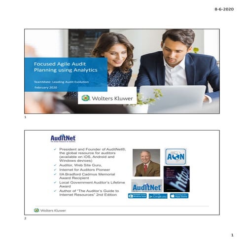 Focused agile audit planning using analytics