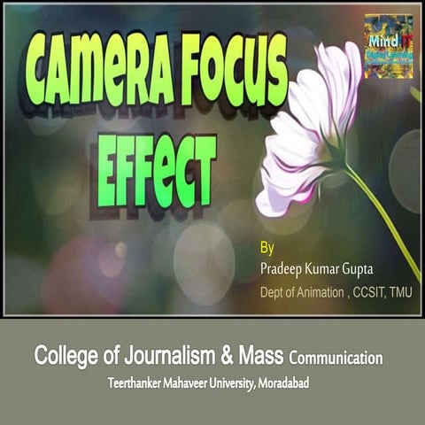 Focus effect