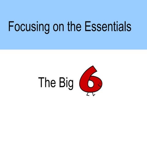 Focusing on the Essentials to Improving School Performance 