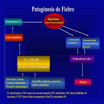 Fod clase | PPT