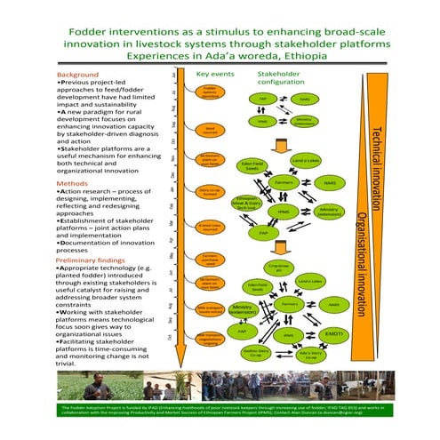 Fodder interventions as a stimulus to enhancing broad-scale innovation in liv...