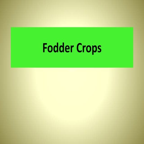 Fodder crops