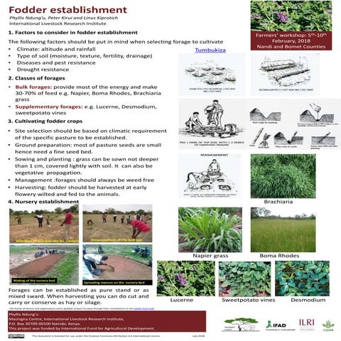 Fodder establishment