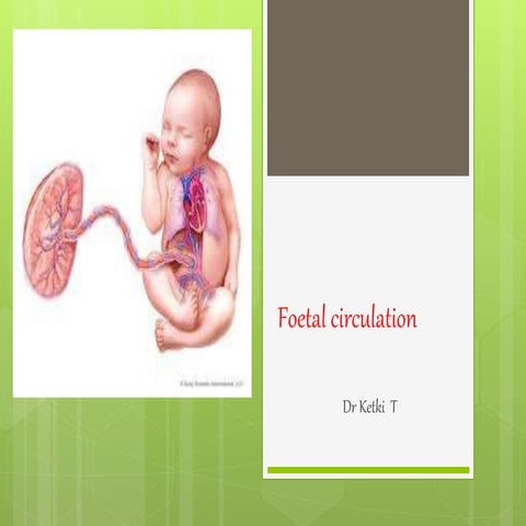 Foetal Circulation.pptx