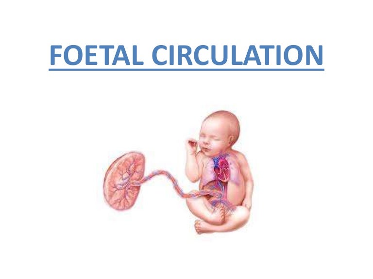 Foetal circulation,persistent pulmonary hypertension of the newborn