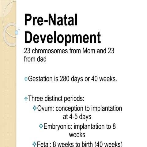 Foetal development and growth in humans