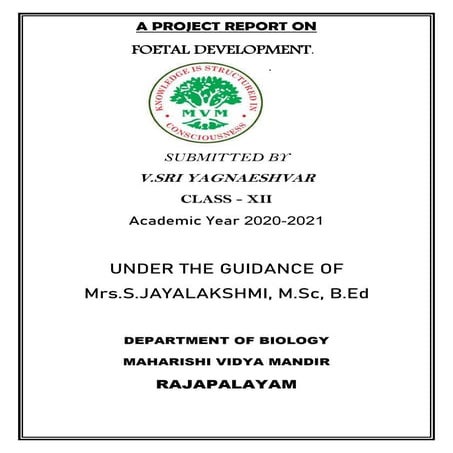 Foetal development by Yagnaeshvar Venkatesan