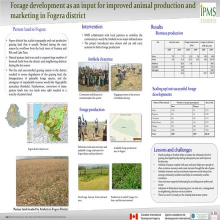Forage development as an input for improved animal production and ...